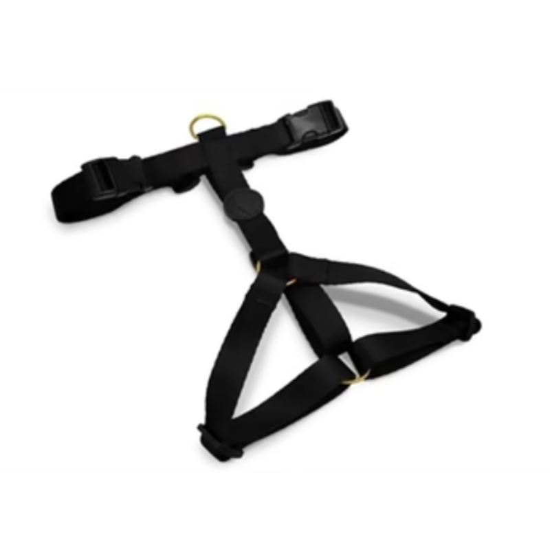 Morso Hundegeschirr H-Rig Recyceltes Gold Kaviar Gold